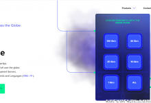*100G 无计量 AMD EPYC 服务器-服务器评测