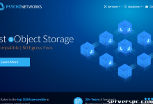 ★ PSYCHZ NETWORKS ★ - 10Gbps 无限流量服务器闪电战-服务器评测