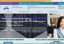 *NewidHost ： 企业级专用服务器|44% 折扣 （Linux 或 Windows） |亚洲、美国、欧盟-服务器评测
