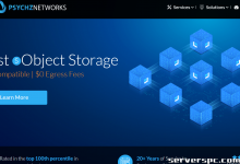 ★ PSYCHZ NETWORKS ★ - 10Gbps 无限流量服务器闪电战-服务器评测