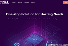 *圣诞促销：120 TB 存储服务器仅需 149 美元/月 | NetDynamics LLC-服务器评测
