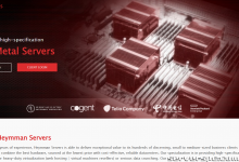 ✨ Heymman 服务器 • 219 美元 • 双 EPYC 7702 • 128 核 / 256 线程 • 512GB RAM • 2TB NVMe-服务器评测