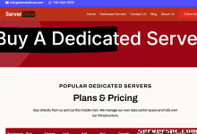 *双 E5-2650L v2 （256GB Ram）、2TB SSD、10GB DDOS。德克萨斯州达拉斯。$85/m （快没了）-服务器评测