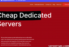 *双 E5-2650L v2 （256GB Ram）、2TB SSD、10GB DDOS。德克萨斯州达拉斯。$85/m （快没了）-服务器评测