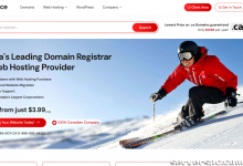 来自加拿大领先的托管服务提供商 CanSpace 的完全托管专用服务器！⛄️-服务器评测