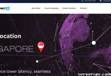 EPYC 米兰 7443P，128GB，1TB NVMe - 99 美元-服务器评测