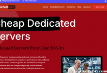 *双 E5-2650L v2 （256GB Ram）、2TB SSD、10GB DDOS。德克萨斯州达拉斯。$85/m （快没了）-服务器评测