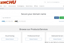 *可靠的专用服务器，提供 24x7 全天候支持和 99.99% 正常运行时间 SLA-服务器评测