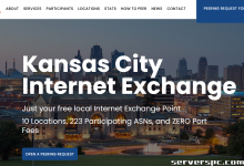 *███ 36c/64t - 128GB - 2TB NVME - 10G 端口 - 90 美元/月 ███-服务器评测