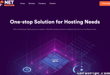 *存储服务器 48 TB，每月仅需 65 美元 |168 TB 仅需 189 美元/月 |NetDynamics 有限责任公司-服务器评测