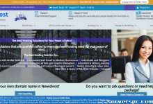 *NewidHost ： 企业级专用服务器|44% 折扣 （Linux 或 Windows） |亚洲、美国、欧盟-服务器评测
