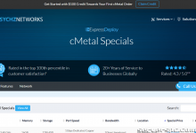 ★ PSYCHZ NETWORKS ★ - 10Gbps 不限流量服务器闪电战-服务器评测