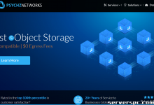 ★ PSYCHZ NETWORKS ★ - 10Gbps 不限流量服务器闪电战-服务器评测