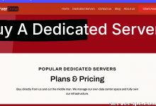 *双 E5-2650L v2（256GB RAM）、2TB SSD、10GB DDOS。德克萨斯州达拉斯。85 美元/月（快没了）-服务器评测