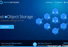 ★ PSYCHZ NETWORKS ★ - 10Gbps 不限流量服务器闪电战-服务器评测