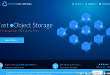 ★ PSYCHZ NETWORKS ★ - 10Gbps 不限流量服务器闪电战-服务器评测