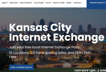 *███ 16c/32t - 64GB 内存 - 2x500GB SSD - 10Gbit 端口 - 49 美元 ███-服务器评测