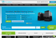 TetraHost:具有特殊 IP 的服务器 75 美元/月起 |美国/SG-服务器评测