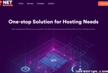 免费 10 Gbps 升级 |存储服务器：120 TB 仅需 169 美元/月 |NetDynamics 有限责任公司-服务器评测