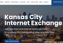 *███ 16c/32t - 64GB 内存 - 2x500GB SSD - 10Gbit 端口 - 49 美元 ███-服务器评测