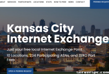 *███ 16c/32t - 64GB 内存 - 2x500GB SSD - 10Gbit 端口 - 49 美元 ███-服务器评测