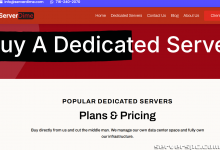 *双 E5-2650L v2 （256GB Ram）、2TB SSD、10GB DDOS。德克萨斯州达拉斯。$85/m （快没了）-服务器评测