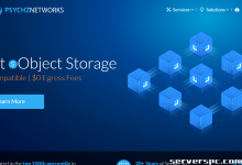 ★ PSYCHZ NETWORKS ★ - 10Gbps 不限流量服务器闪电战-服务器评测