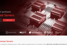 *热卖！RackNerd 的专用服务器促销！SSD， NVMe & HIGH STORGAGE DEDIS每月59美元起-服务器评测