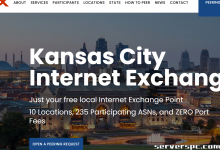 *███ 16c/32t - 64GB 内存 - 2x500GB SSD - 10Gbit 端口 - 49 美元 ███-服务器评测