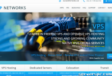 *★ ☆ 40 美元井喷大甩卖☆ ★ ARP Thunder™ 专用，4GB RAM 80GB SSD + 200GB SATA 5TB-服务器评测