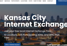 *███ 16c/32t - 64GB 内存 - 2x500GB SSD - 10Gbit 端口 - 49 美元 ███-服务器评测