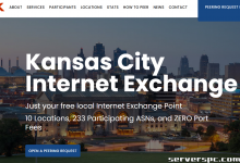 *███ 16c/32t - 64GB 内存 - 2x500GB SSD - 10Gbit 端口 - 49 美元 ███-服务器评测