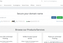 *最便宜的强大专用服务器，仅 100 美元起，cPanel 和管理服务准备就绪！！-服务器评测