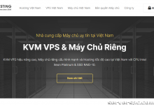 *[越南托管]越南的专用服务器 – 100 美元/月起 – 提供 /24 个干净的 IP 块！-服务器评测