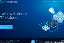 ★ PSYCHZ NETWORKS ★ - 10Gbps 不限流量服务器闪电战-服务器评测