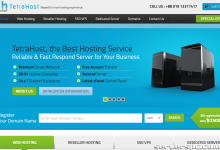 TetraHost：具有特殊 IP 的服务器 75 美元/月起 |美国/新加坡-服务器评测