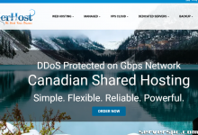 *[加勒比群岛] ★ 优质离岸专用服务器免费 ★ iRMC ★ 5TB 带宽 ★-服务器评测