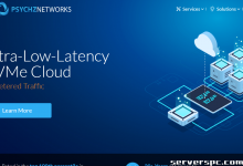 ★ PSYCHZ NETWORKS ★ - 10Gbps 不限流量服务器闪电战-服务器评测