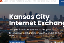 *███ 16C/32T - 64GB RAM - 2x500GB SSD - 10Gbit端口 - 49美元███-服务器评测