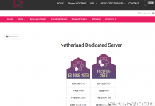 *[美国/荷兰]E3/E5 -2TB HDD/SSD -16/32/128/256/512 GB 内存 -5 IP -100TB-服务器评测