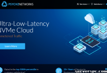 ★ PSYCHZ NETWORKS ★ - 10Gbps 不限流量服务器闪电战-服务器评测