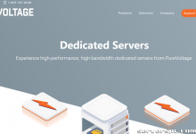 *⚡PureVoltage⚡ 定制 AMD 服务器 |200G 上 40TB，40 核 256GB，2 个 NVME |纽约达尔海⚡-服务器评测