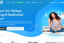 $2.00 第一个月神秘盒子专用服务器（更便宜的专用服务器）-服务器评测