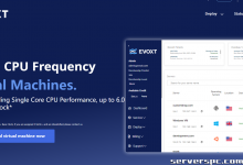 [埃沃斯特]Ryzen / Intel / GPU 专用服务器在马来西亚 |中国优化航线可用-服务器评测
