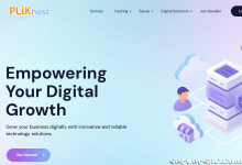 *PLiKhost - 可靠且经济实惠的专用服务器 - 雅加达、新加坡、美国、德国-服务器评测