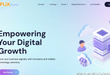 PLiKhost - 可靠且经济实惠的专用服务器 - 雅加达、新加坡、美国、德国-服务器评测