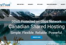 UnderHost ★ 全球离岸专用服务器 ★ 12+ 个位置 ★ 1Gbps 端口-服务器评测