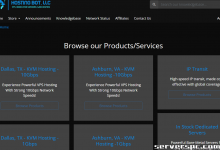 [15% 折扣]托管机器人有限责任公司 |德克萨斯州达拉斯/弗吉尼亚州阿什本 |高级裸机服务器！-服务器评测