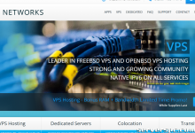 ★ ☆ 40 美元井喷促销 ☆ ★ ARP Thunder™ 专用，4GB RAM 80GB SSD + 200GB SATA 5TB-服务器评测