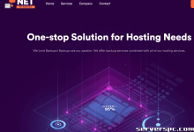 存储服务器 48 TB 仅 65 美元/月 |NetDynamics 有限责任公司-服务器评测